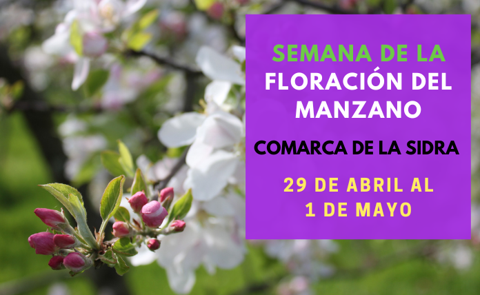Semana de la Floración del Manzano | Comarca de la Sidra