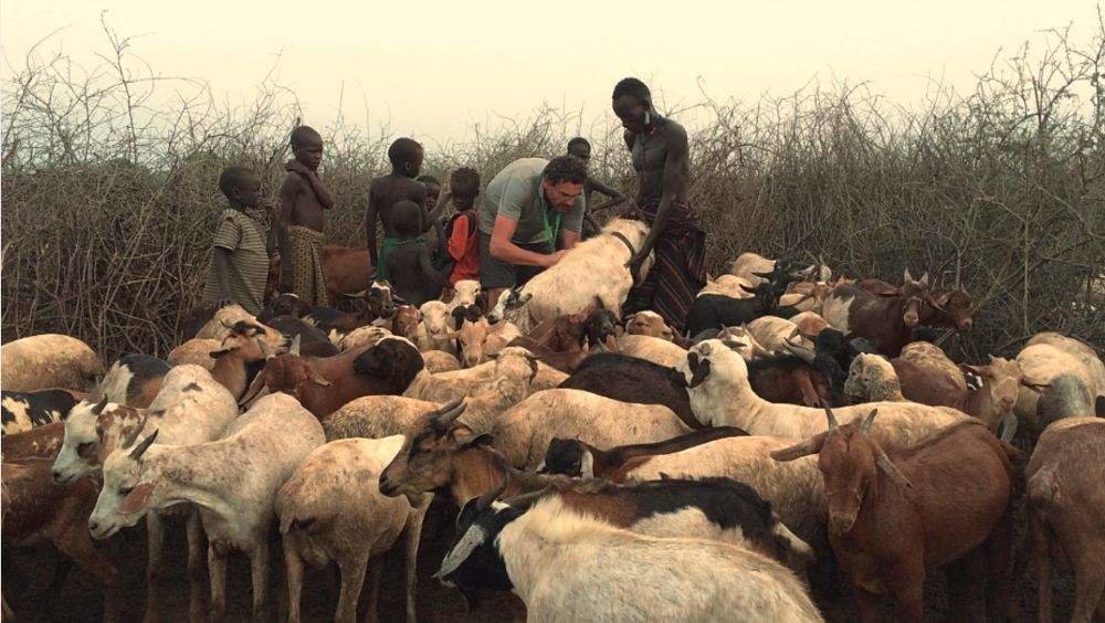 proyecto-veterinario-etiopia-ribadesella