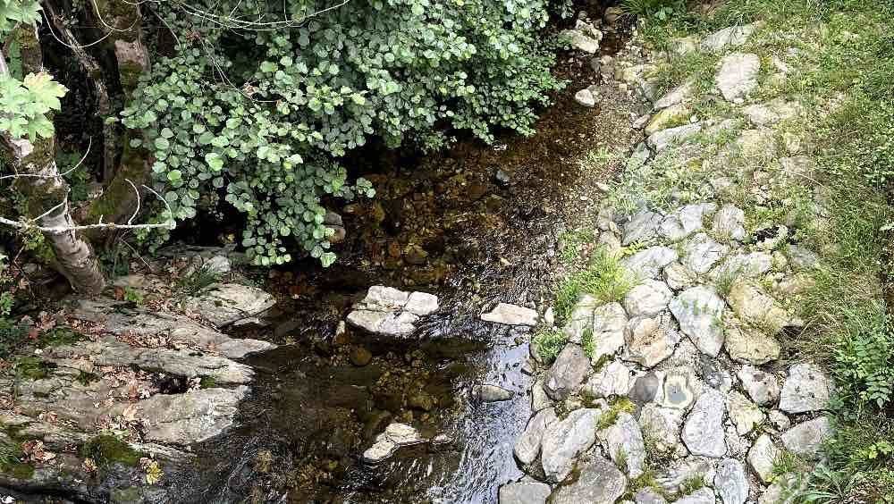 indemnizacion-puente-cabrales