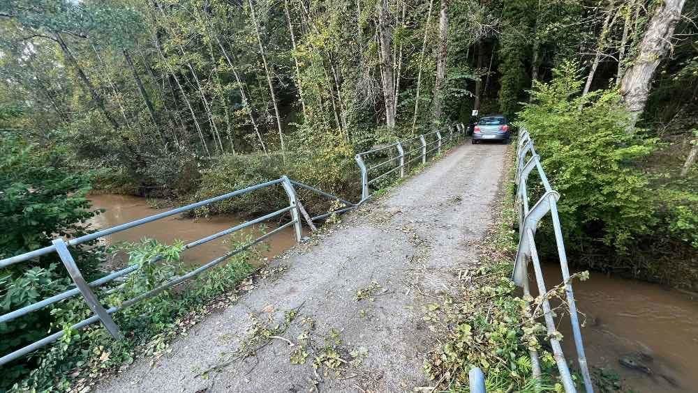 arbol-barandilla-puente-celorio