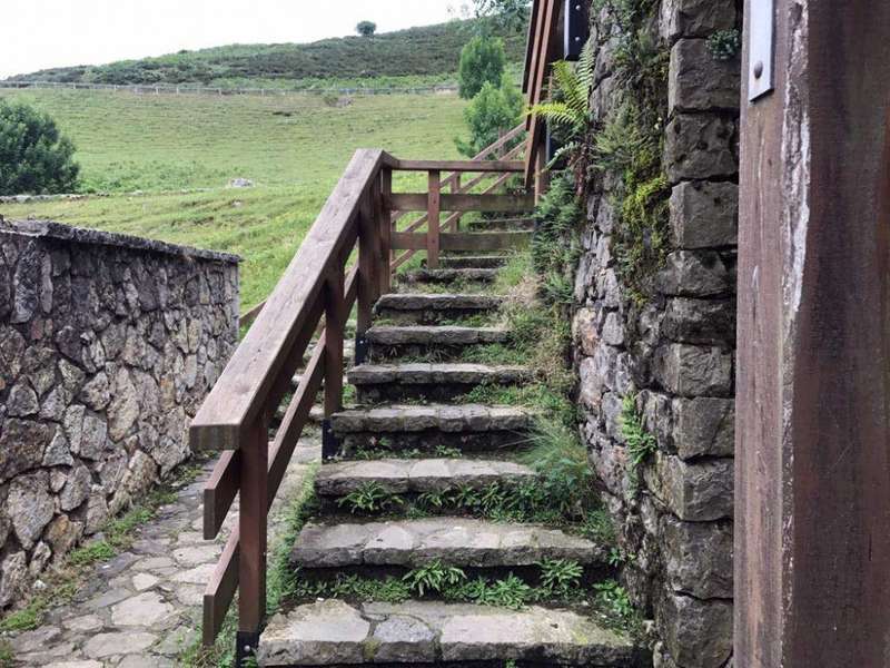 Los turistas se topan en Los Lagos de Covadonga con la ...