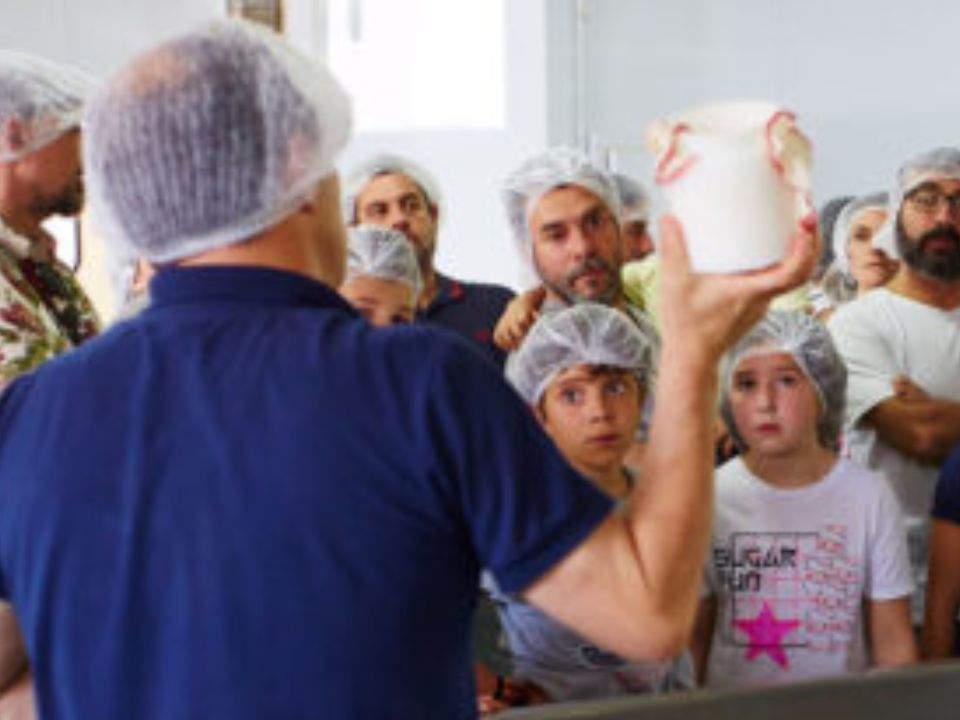 Proceso de elaboración del yogur en Los Caserinos.
Los Caserinos